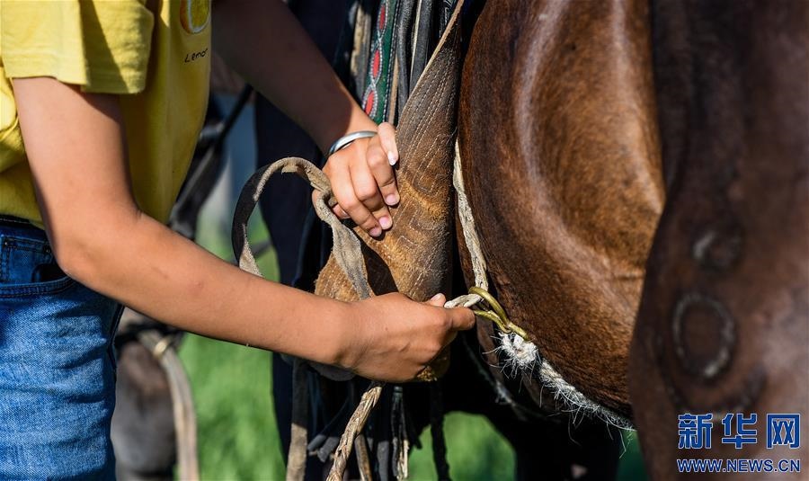 (特別的暑期生活·圖片故事)(7)草原女孩錫林花的暑期“歡樂(lè)時(shí)光”