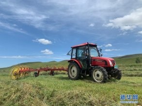 內(nèi)蒙古興安盟：草原打草忙