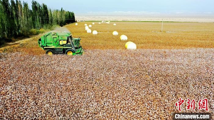 近年來(lái)，當(dāng)?shù)孛藁ǚN植戶的生產(chǎn)生活發(fā)生了翻天覆地的變化?！《?攝