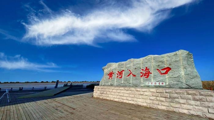 △黃河入?？谖挥谏綎|東營市墾利區(qū)。(總臺(tái)央視記者彭漢明拍攝)