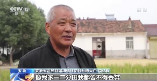 十八連豐！秋收近九成 我國糧食產能穩(wěn)步提升