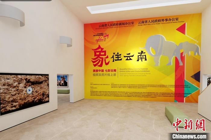 圖為“象”往云南——美麗中國(guó) 七彩云南視頻及圖片線上展截圖。　胡遠(yuǎn)航 攝