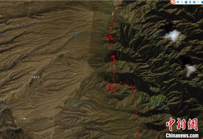 圖為雪豹故地重游來到放歸地的足跡。　內(nèi)蒙古賀蘭山國家級自然保護(hù)區(qū)供圖