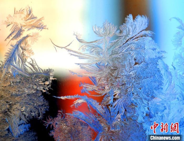 冰窗花千姿百態(tài)?！O書程 攝