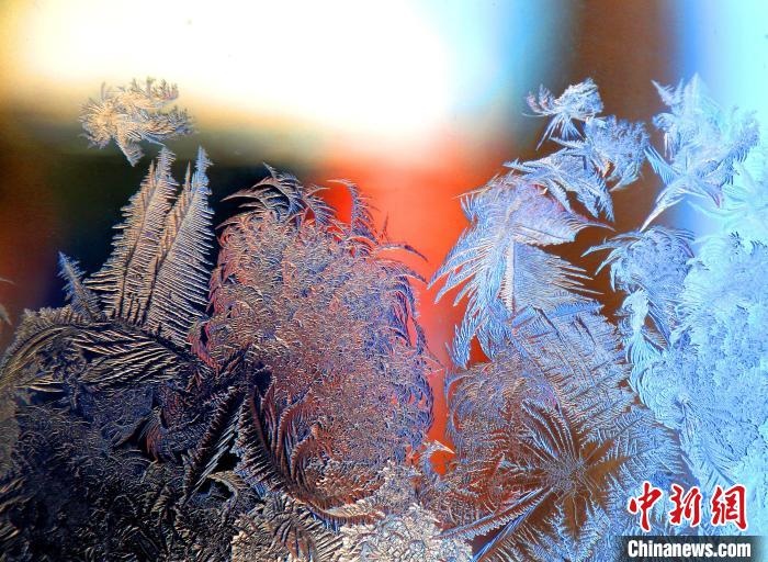 惟妙惟肖的冰窗花，似一幅風景畫。　孫書程 攝