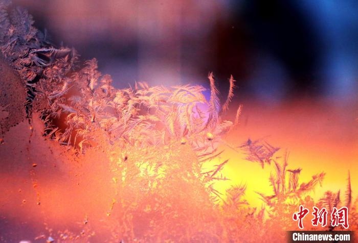 迎著光亮，冰窗花絢麗多姿。　孫書程 攝