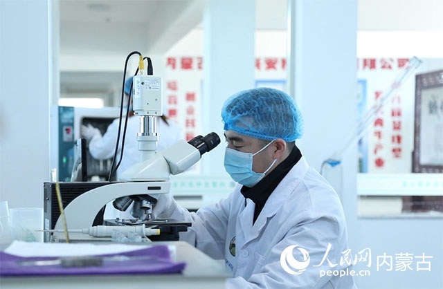 內(nèi)蒙古中農(nóng)興安種牛科技有限公司落戶(hù)科右中旗，為肉牛產(chǎn)業(yè)發(fā)展提供了優(yōu)質(zhì)的種源保障。白俊華攝