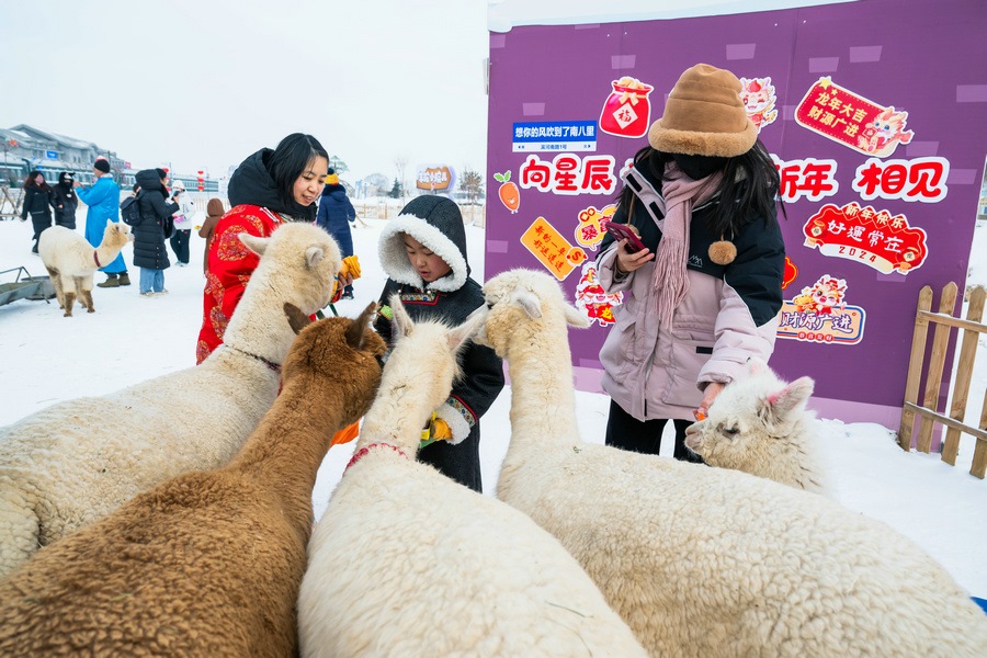 【組圖】北京萌娃