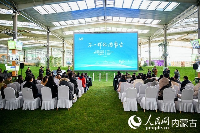 啟動儀式現(xiàn)場。主辦方供圖