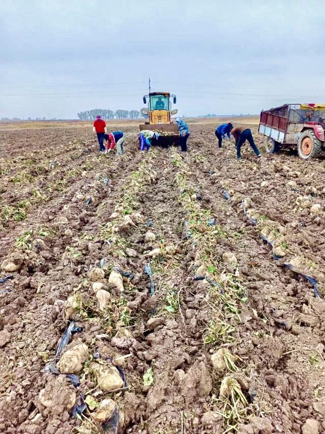 1729154335127503.png 1.png