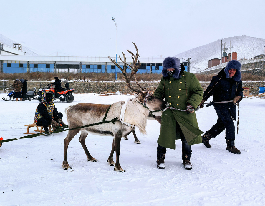 1736001197112790.jpg 20250104221805.jpg