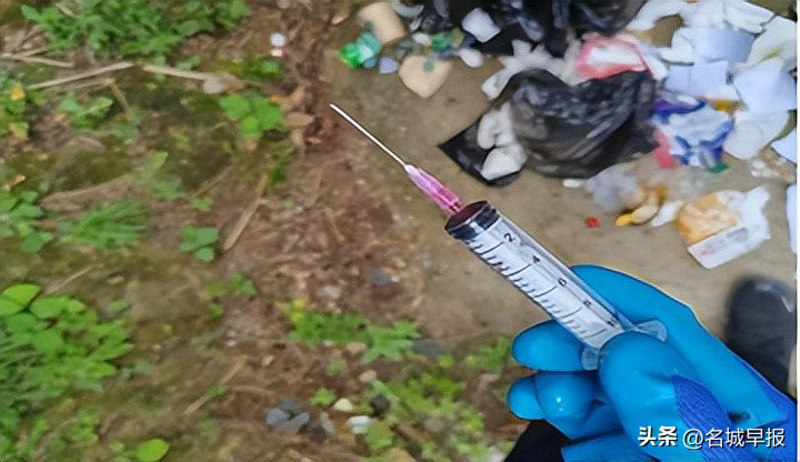 1758884941282546.jpeg 生豬5jpeg.jpeg