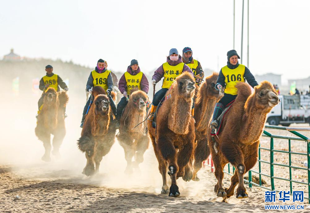 3月7日，賽駝手在6000米成年駱駝場(chǎng)地速度賽比賽中。.jpg