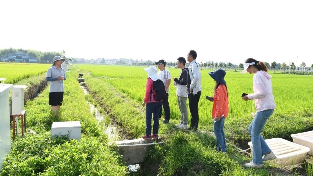 △云南大理古生村科技小院成員在田間調查。