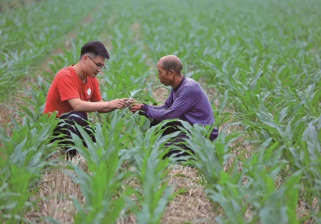 △科技小院的學生在給村民講解玉米種植知識。