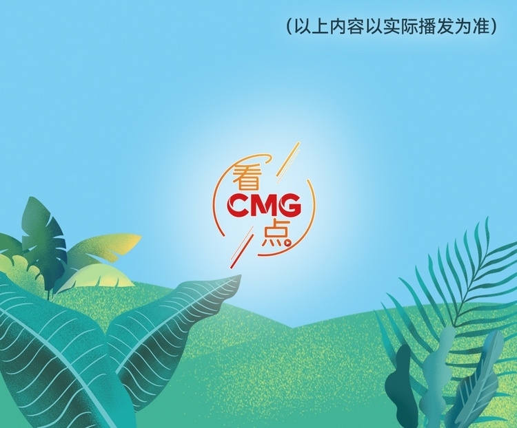 總臺周看點，來了！