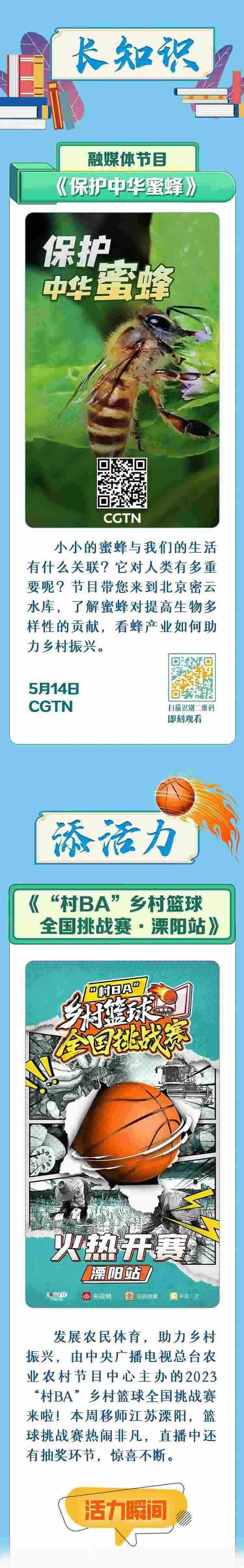 總臺周看點，來了！