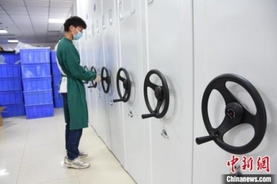 圖為鄭州大學(xué)人骨考古實(shí)驗(yàn)室內(nèi)的骨骼標(biāo)本庫(kù)。王宇 攝