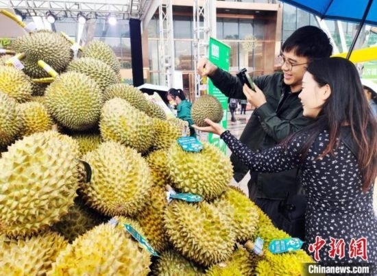 圖為廣西南寧市民在選購榴蓮。黃艷梅 攝