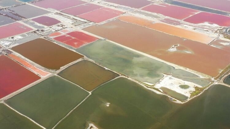 鑒往知來(lái)，跟著總書(shū)記學(xué)歷史丨走進(jìn)一座博物館，尋根五千年中華文明