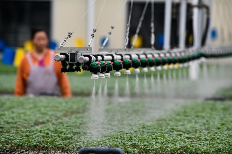 工人在貴陽市開陽縣楠木渡蔬菜良種繁育中心查看自動噴灌系統(tǒng)給辣椒苗澆水情況（2023年5月24日攝）。新華社記者 楊文斌 攝