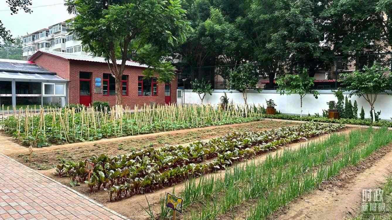 △學(xué)生農(nóng)場(chǎng)。（總臺(tái)央視記者趙化拍攝）