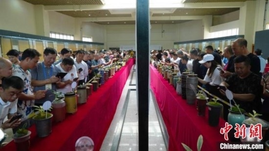 圖為活動現(xiàn)場。 云南省委臺辦供圖