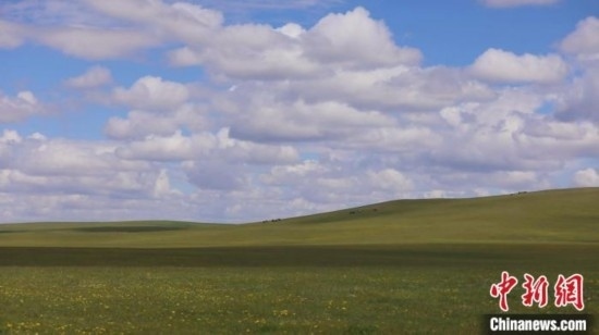 圖為點(diǎn)點(diǎn)新綠在原野上蓄勢(shì)待發(fā)。 歐戈 攝