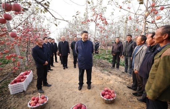 2022年10月26日，習(xí)近平總書記在陜西省延安市安塞區(qū)高橋鎮(zhèn)南溝村蘋果園同老鄉(xiāng)們親切交流。