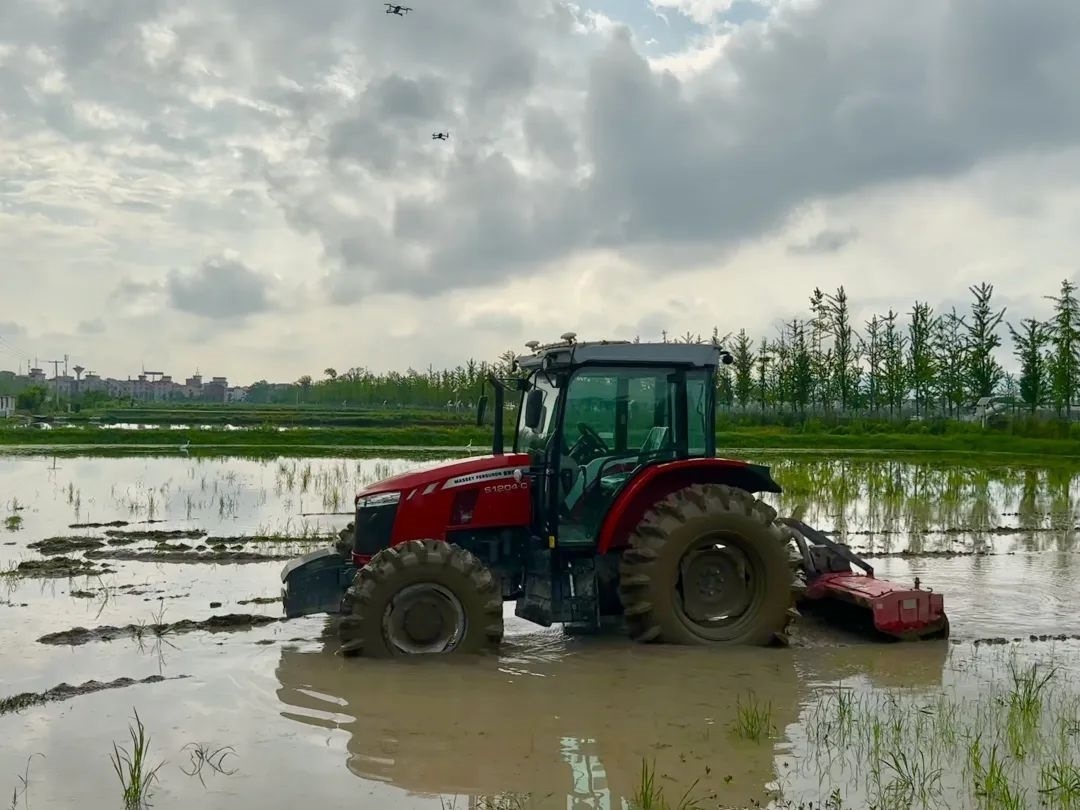 浙江省金華市東陽(yáng)市城東街道寀盧村的一臺(tái)無(wú)人駕駛耕地機(jī)。靜玄 攝