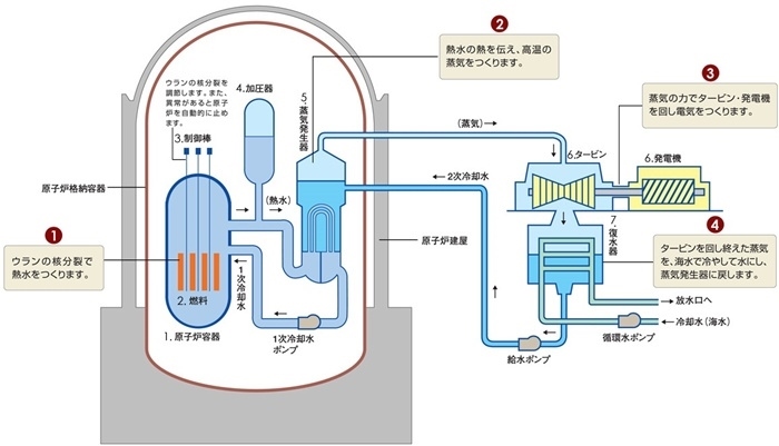 核電站運作原理圖。通常的核電站排水未直接接觸核燃料。（圖片來源：日本北海道電力株式會社網站）