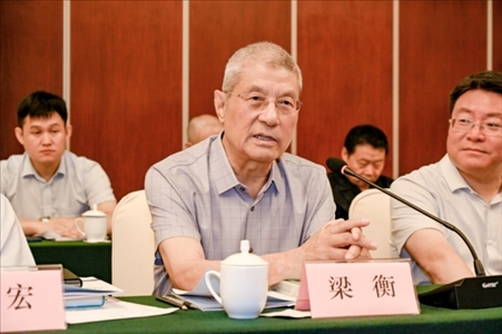 中國林業(yè)生態(tài)作家協(xié)會名譽主席梁衡發(fā)言。主辦方供圖