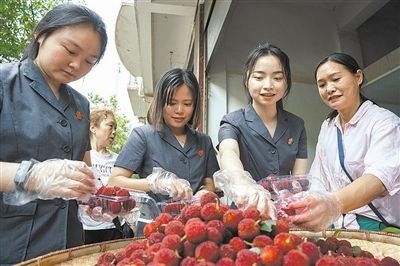 志愿者和村民一起將摘下的楊梅裝進(jìn)食品盒里。