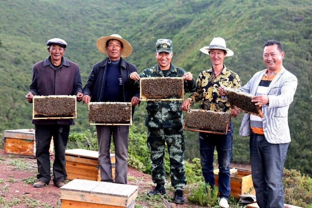 ↑武警四川總隊涼山支隊精準(zhǔn)幫扶昭覺縣梭梭拉打村發(fā)展養(yǎng)蜂產(chǎn)業(yè)，總隊駐村扶貧干部布哈（中）和村民一同展示豐收成果（2019年6月12日攝）。新華社發(fā)（楊劍 攝）