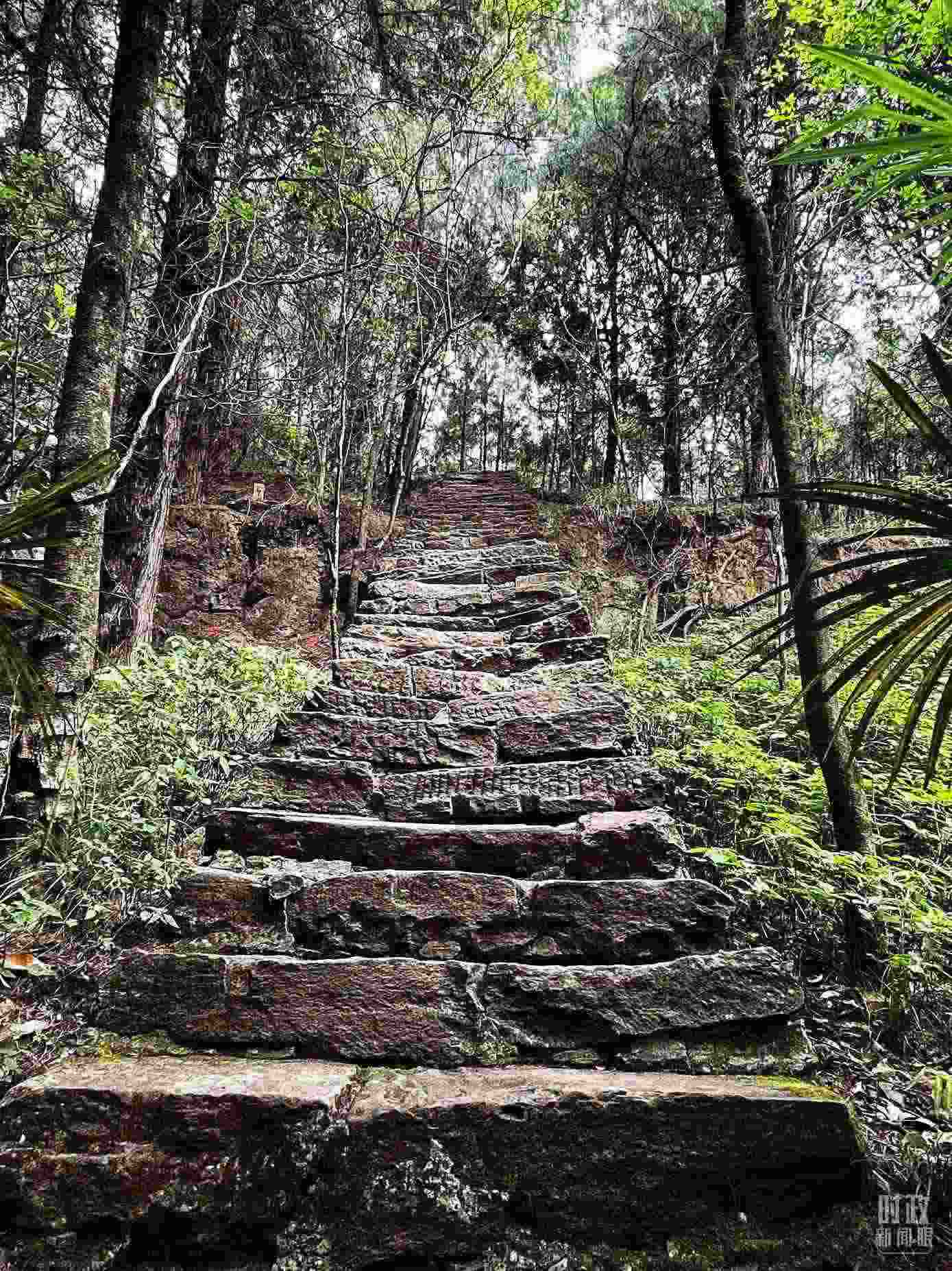 △古蜀道。（總臺央視記者郭曉龍拍攝）