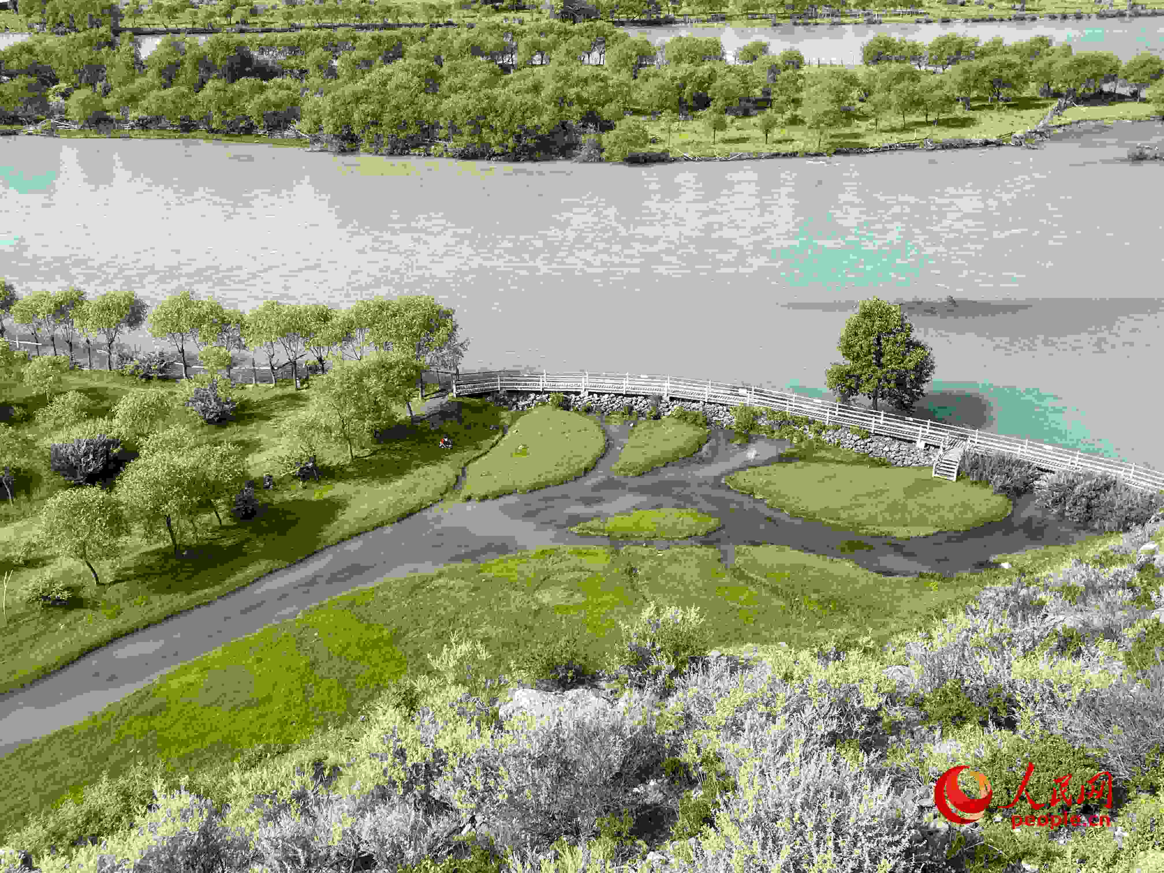 夏日的雅尼國家濕地公園生機(jī)盎然，如詩如畫。人民網(wǎng) 周靜圓攝