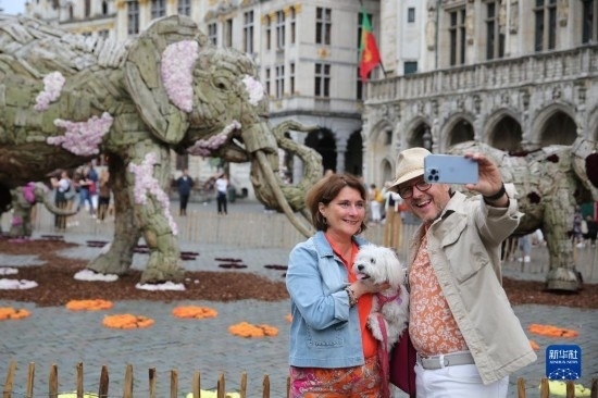 8月11日，觀眾在比利時布魯塞爾“鮮花時光”展覽上拍照。新華社記者 趙丁喆攝