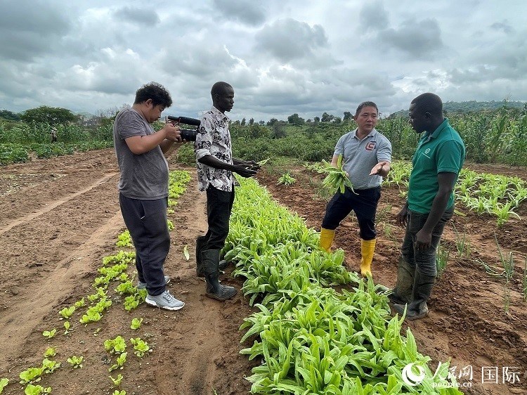 人民網(wǎng)記者走進尼日利亞農(nóng)業(yè)技術(shù)示范中心。人民網(wǎng)記者 趙艷紅攝