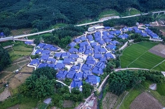 磨憨鎮(zhèn)曼莊村大龍哈小組現(xiàn)代化邊境幸福村新貌。人民網(wǎng)記者 符皓攝