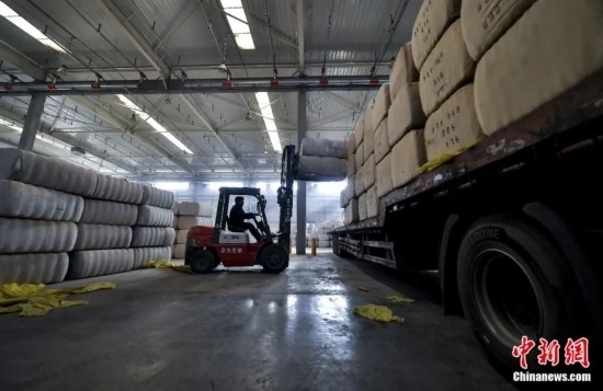 新疆喀什綜合保稅區(qū)，喀什啟路國際貿(mào)易有限公司的倉庫內(nèi)，工人正在裝載從塔吉克斯坦和烏茲別克斯坦進口的棉花。劉新攝