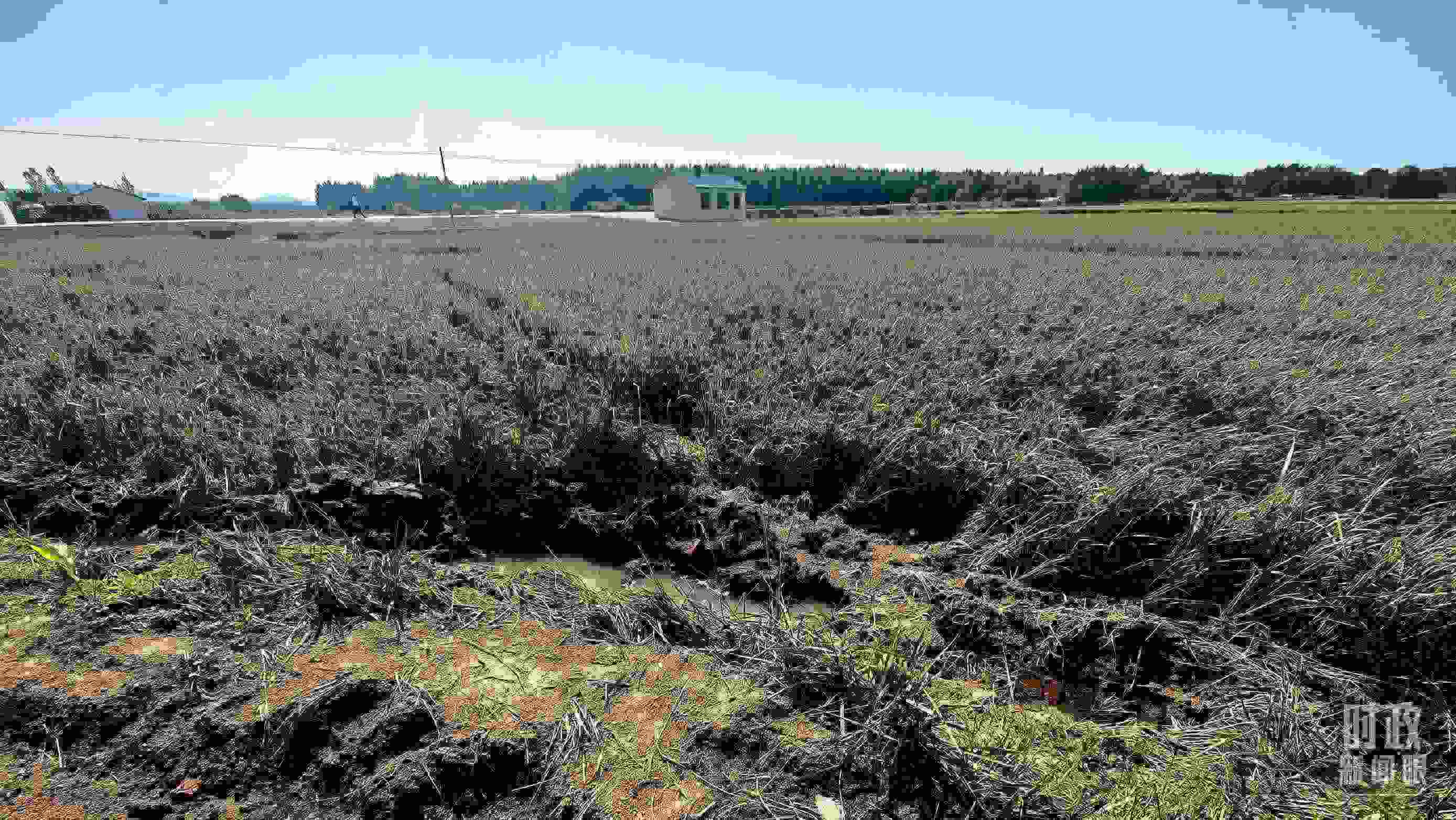 △圖為龍王廟村在洪災中受損的農(nóng)田。（總臺央視記者史偉拍攝）