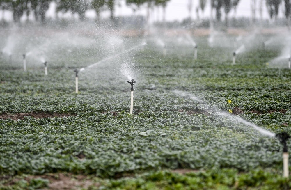 2023年5月25日，在寧夏銀川市永寧縣望洪鎮(zhèn)宋澄村冷涼蔬菜種植基地，小型噴灌節(jié)水設(shè)備在進(jìn)行噴灌作業(yè)。新華社記者 馮開(kāi)華 攝
