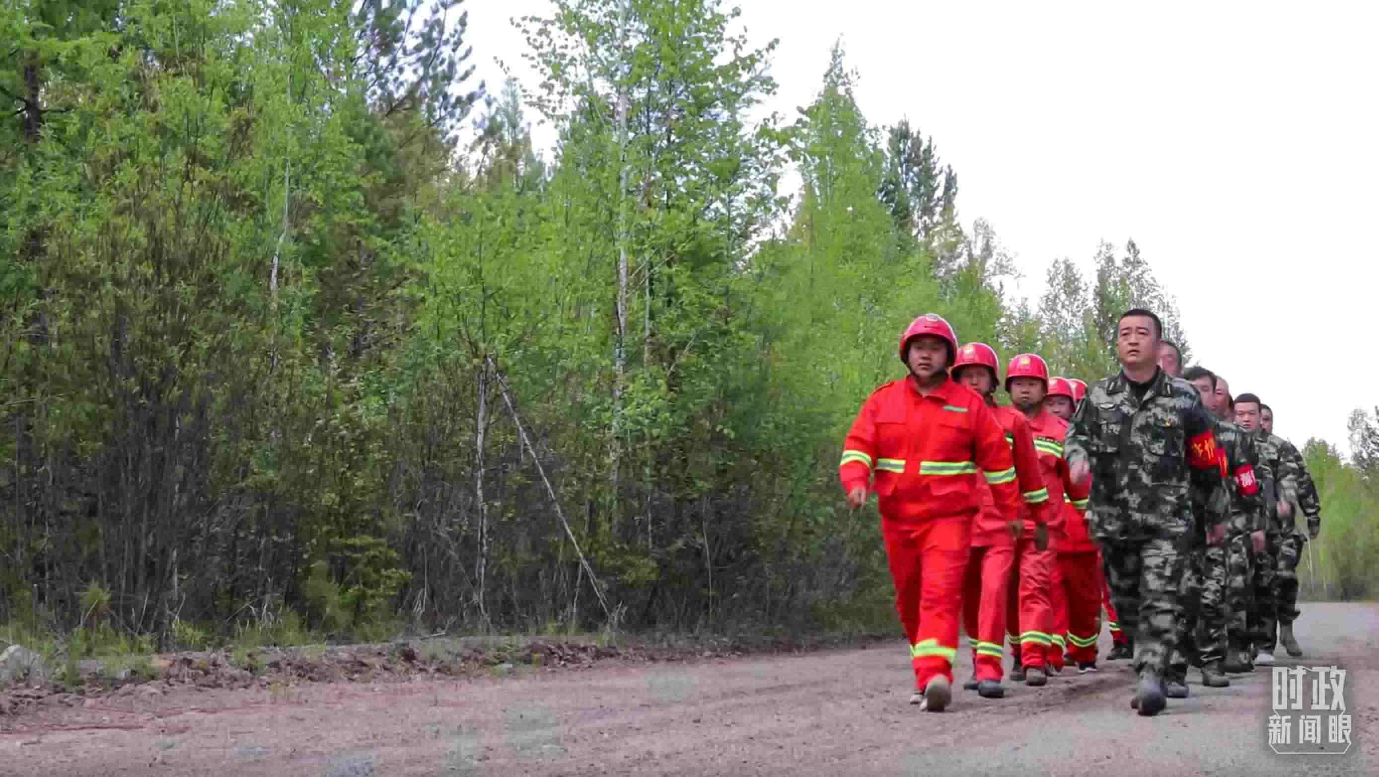 △林場里的森林巡護。