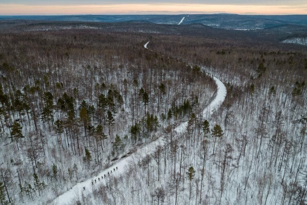 △2023年1月，漠河林場數(shù)十名職工自發(fā)組成的森林撫育隊伍，在人跡罕至的山林中作業(yè)。