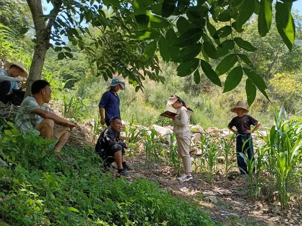 2023年7月18日，兩家村民發(fā)生土地方面的糾紛，李江女（右二）在記錄情況。受訪者供圖