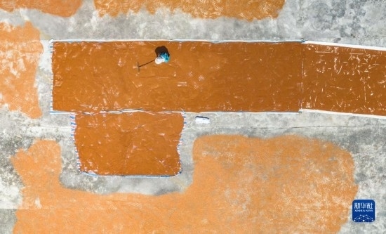 9月16日，農(nóng)民在貴州省安順市西秀區(qū)大西橋鎮(zhèn)吉昌村晾曬高粱（無(wú)人機(jī)照片）。