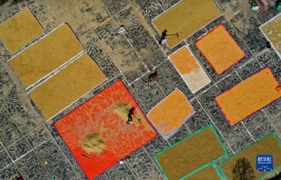 9月16日，貴州省黔東南苗族侗族自治州丹寨縣南皋鄉(xiāng)石橋村村民在晾曬農(nóng)作物（無(wú)人機(jī)照片）。