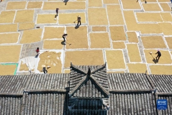 9月16日，村民在貴州省黔東南苗族侗族自治州從江縣剛邊壯族鄉(xiāng)三聯(lián)村晾曬稻谷（無(wú)人機(jī)照片）。