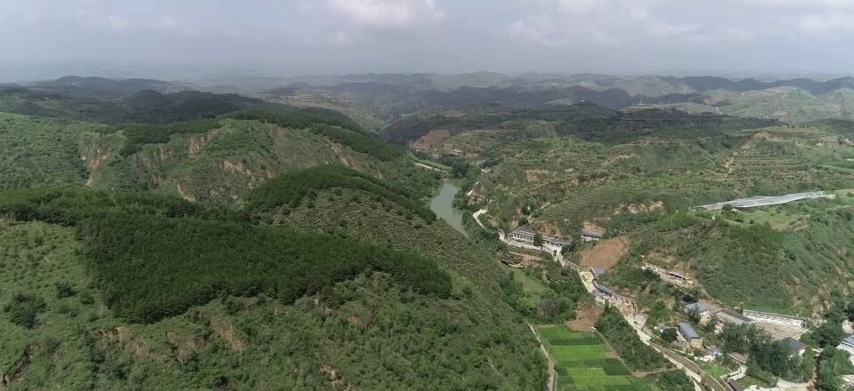 黃土溝壑中的高西溝村滿眼綠色（無人機(jī)照片，2023年7月26日）。新華社記者陳昌奇 攝