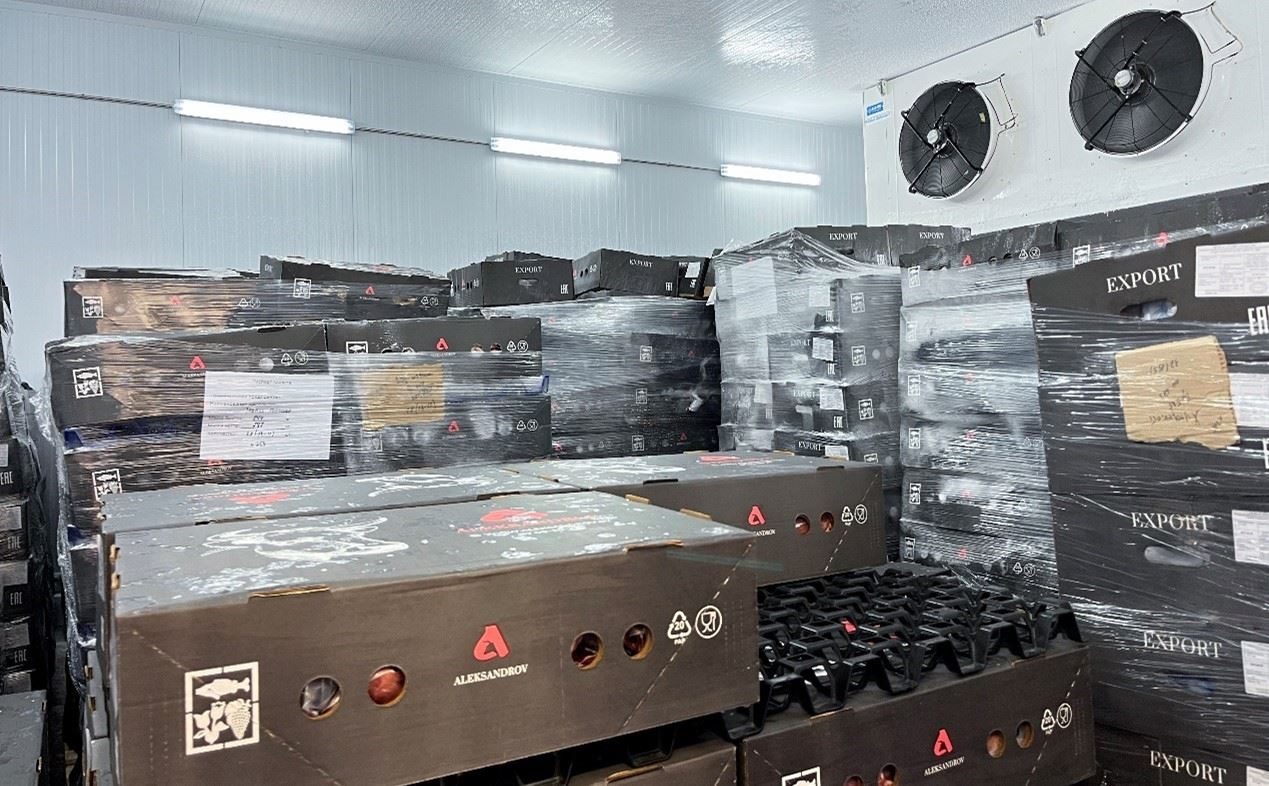 恒溫冷庫(kù)中，包裝好的牛肉等待發(fā)往中國(guó)。人民網(wǎng)記者 朱虹攝